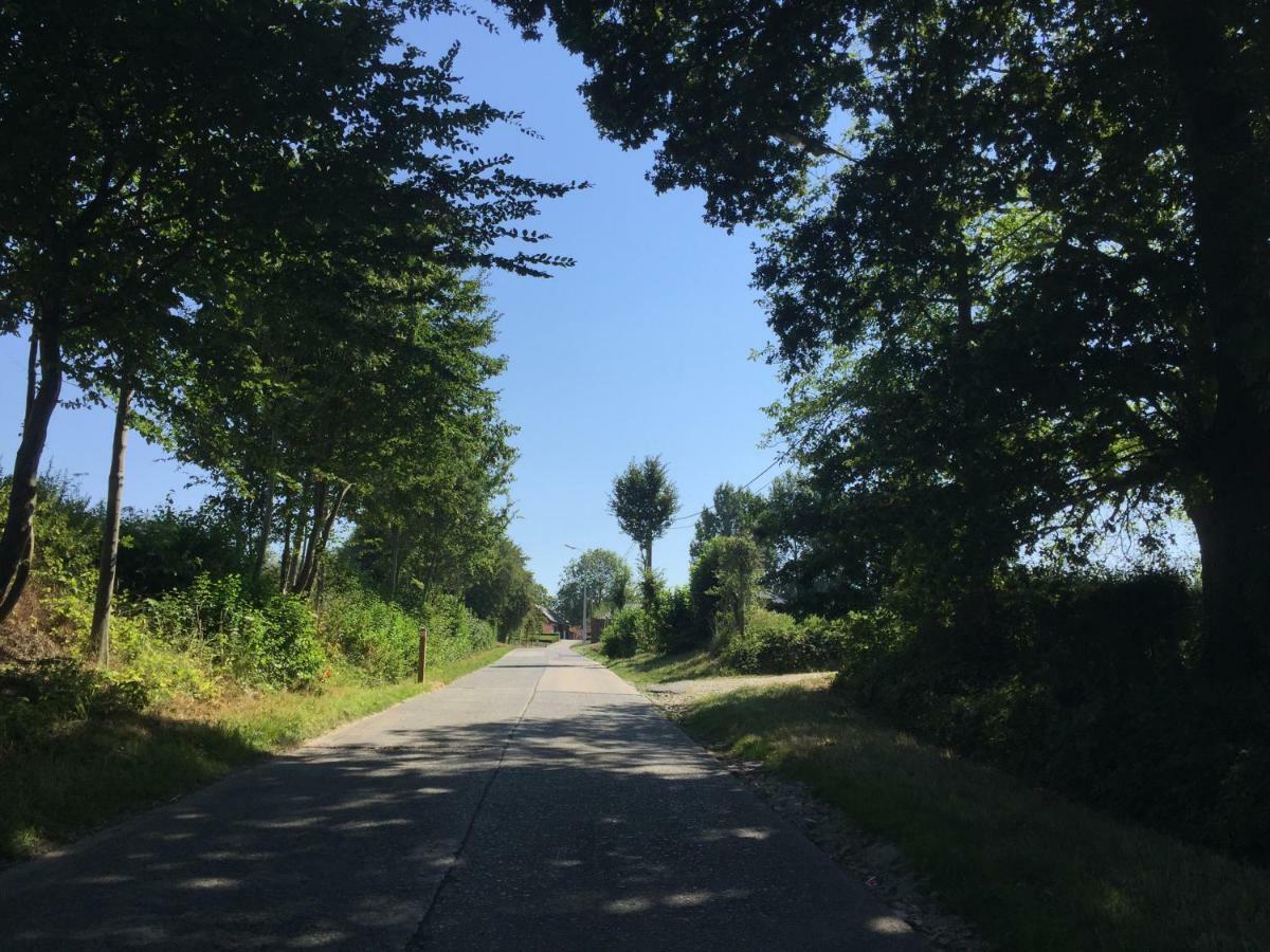 Vakantiehuis In Vlaamse Ardennen Zottegem Dış mekan fotoğraf